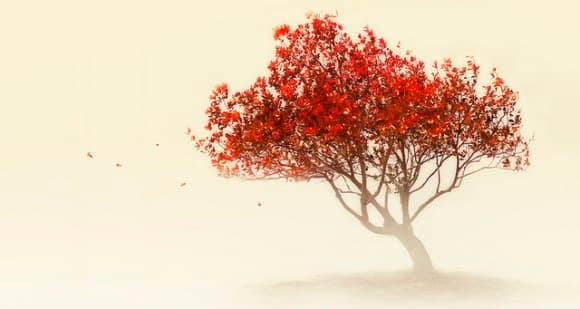 Discovering Lifes' True Purpose (Series 2)