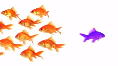 It's Possible To Break Free