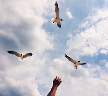 Let Social Media Inspire You - #7