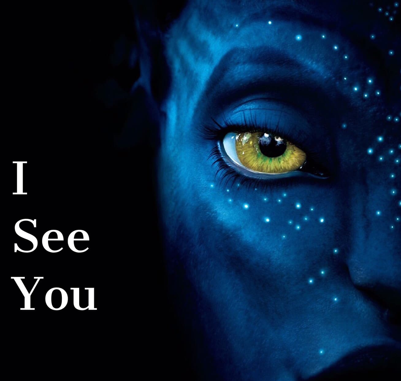 Why Won't You See Me?